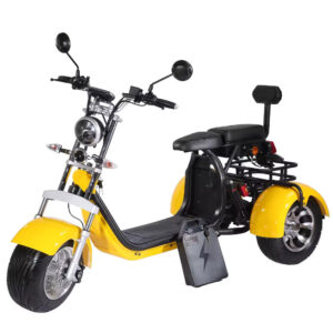 Coco Bike E-Scooter mit Straßenzulassung und drei Räder Trike ca. 35km Reichweite, 60V | 2000W | 20AH Akku - Gelb