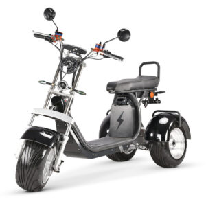 Coco Bike E-Scooter mit Straßenzulassung und drei Räder Trike ca. 35km Reichweite, 60V | 2000W | 20AH Akku - Schwarz